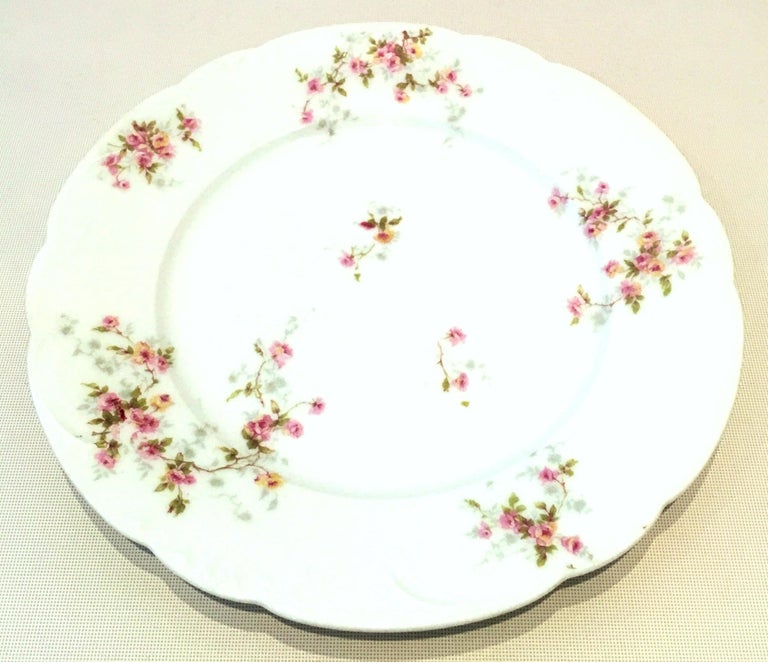 20th Century French Limoges Dinnerware by Theodore Haviland, Set/7 For