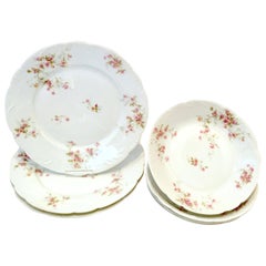 20th Century French Limoges Dinnerware by Theodore Haviland, Set/7
