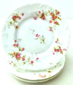 20th Century French Limoges Dinnerware by Theodore Haviland Set of Nine Pieces