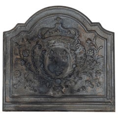 Plaque de cheminée française en fonte du 20e siècle de style Louis XIV