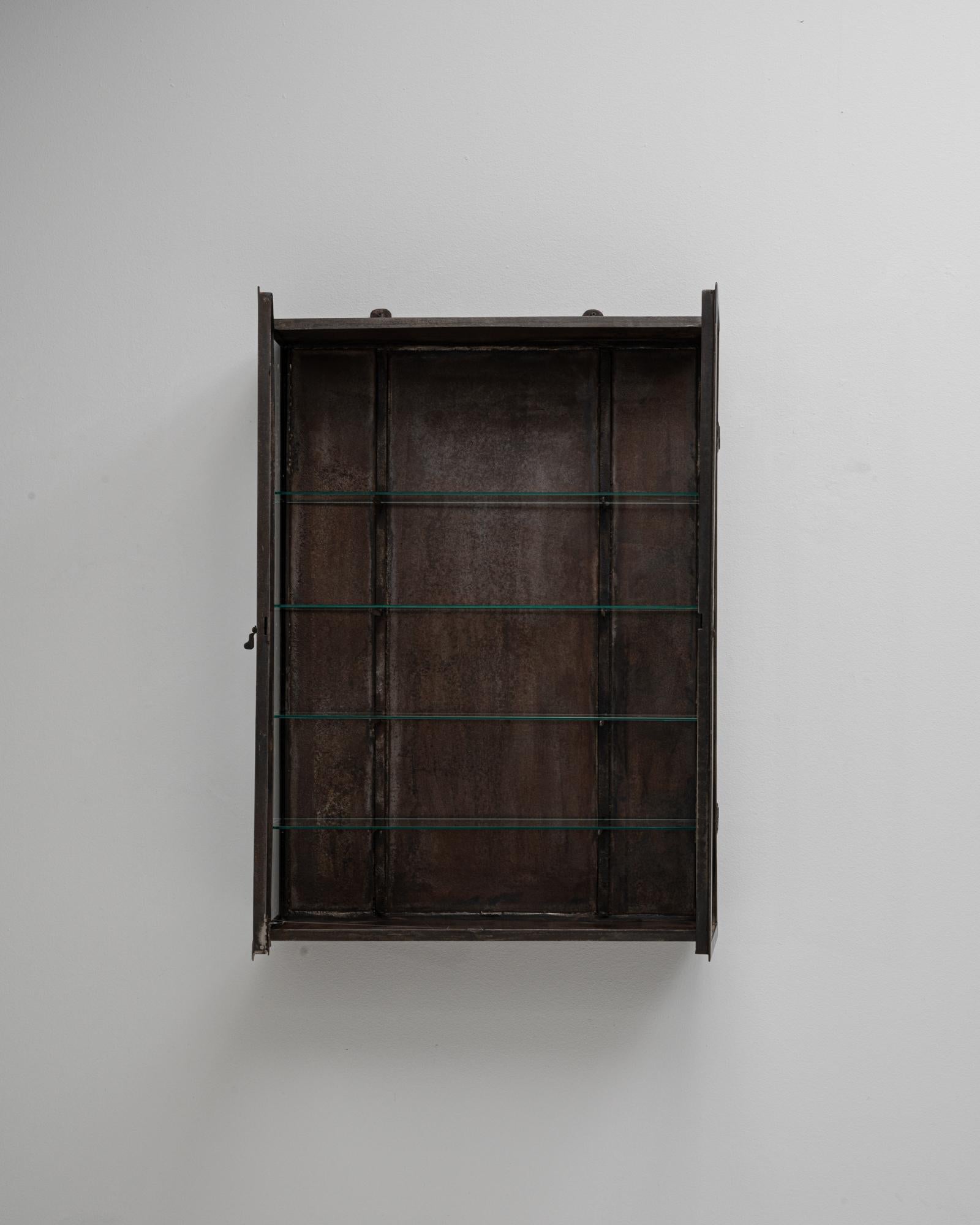 Französische Wandvitrine aus Metall des 20. im Angebot 9
