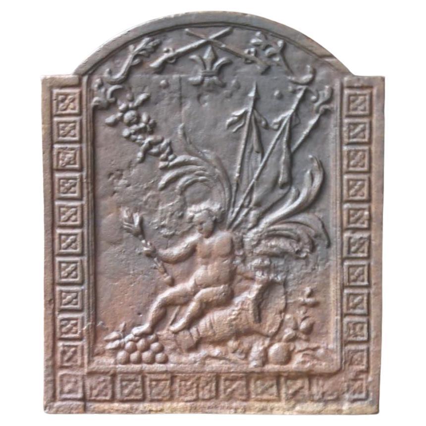 20th Century French Napoleon III Style Fireback / Backsplash