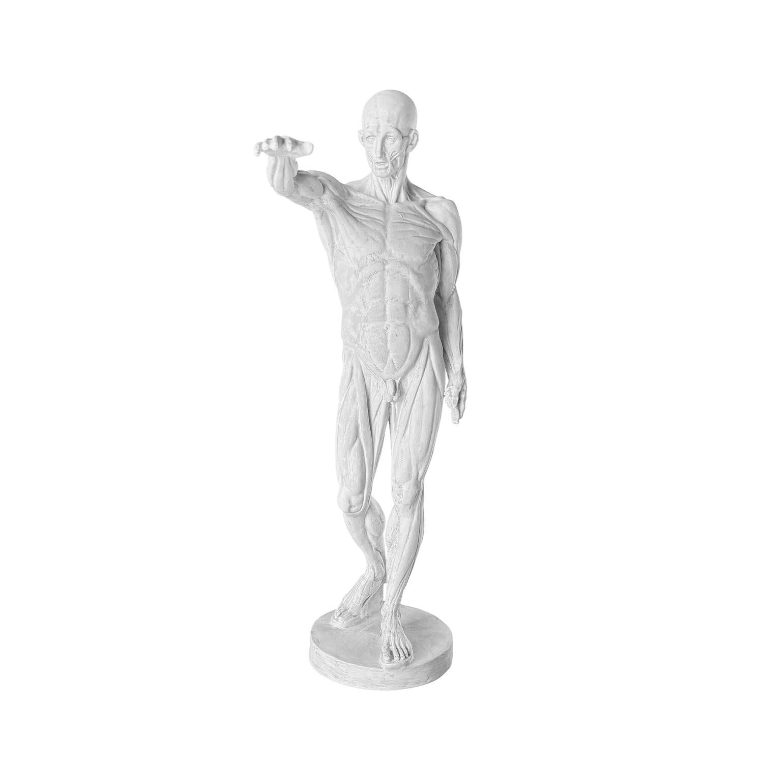 Modelo antiguo de escayola francesa artesanal de un hombre anatómico, en buen estado. Estudio anatómico reducido de numerosas versiones del macho desollado l'Ecorche de Jean-Antoine Houdon. Durante el siglo XVIII, se hizo famoso estudiando la