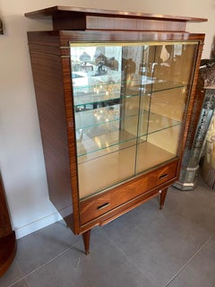 20th Century French Polyester Vitrine, 1960s