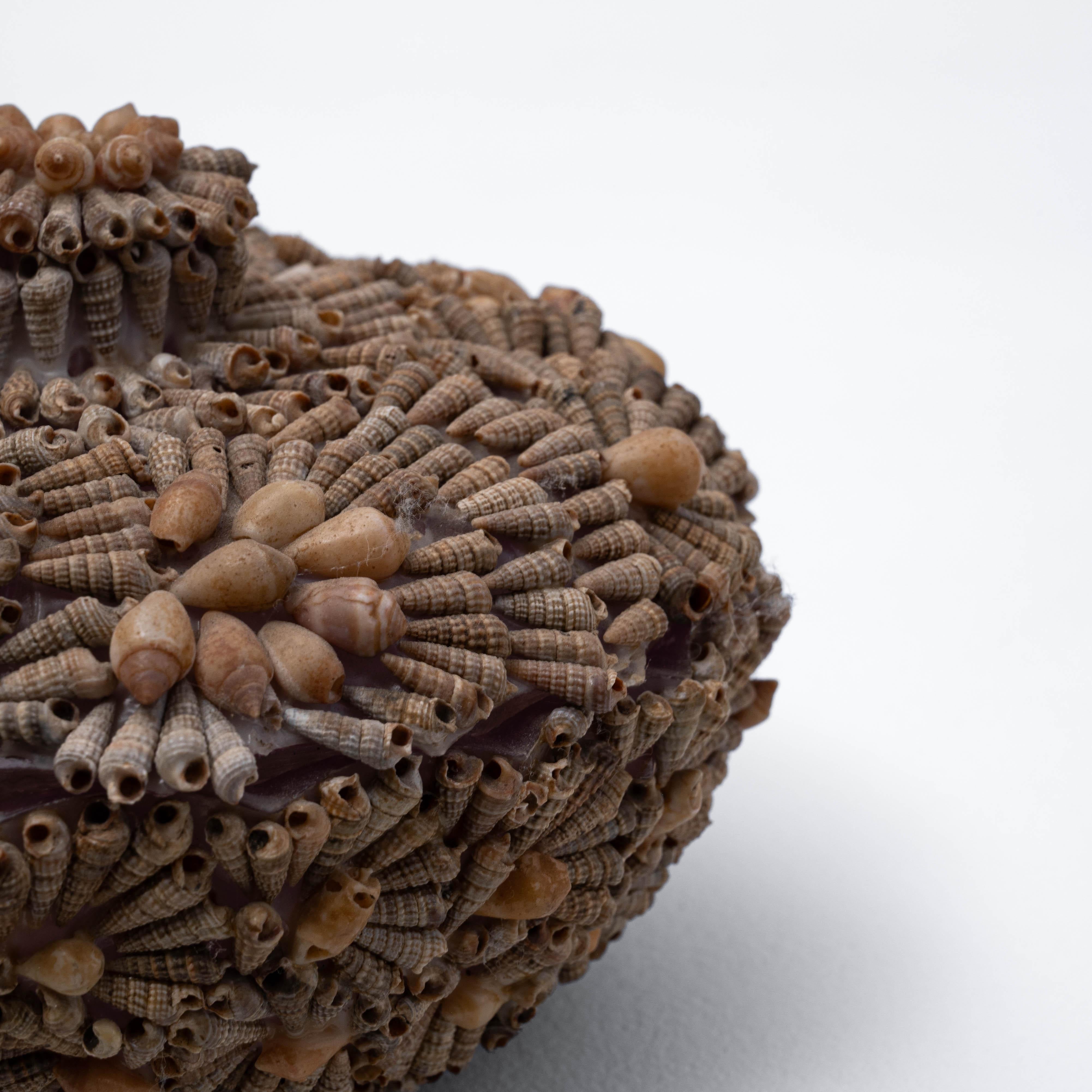 20th Century French Seashell Encrusted Pot For Sale 6