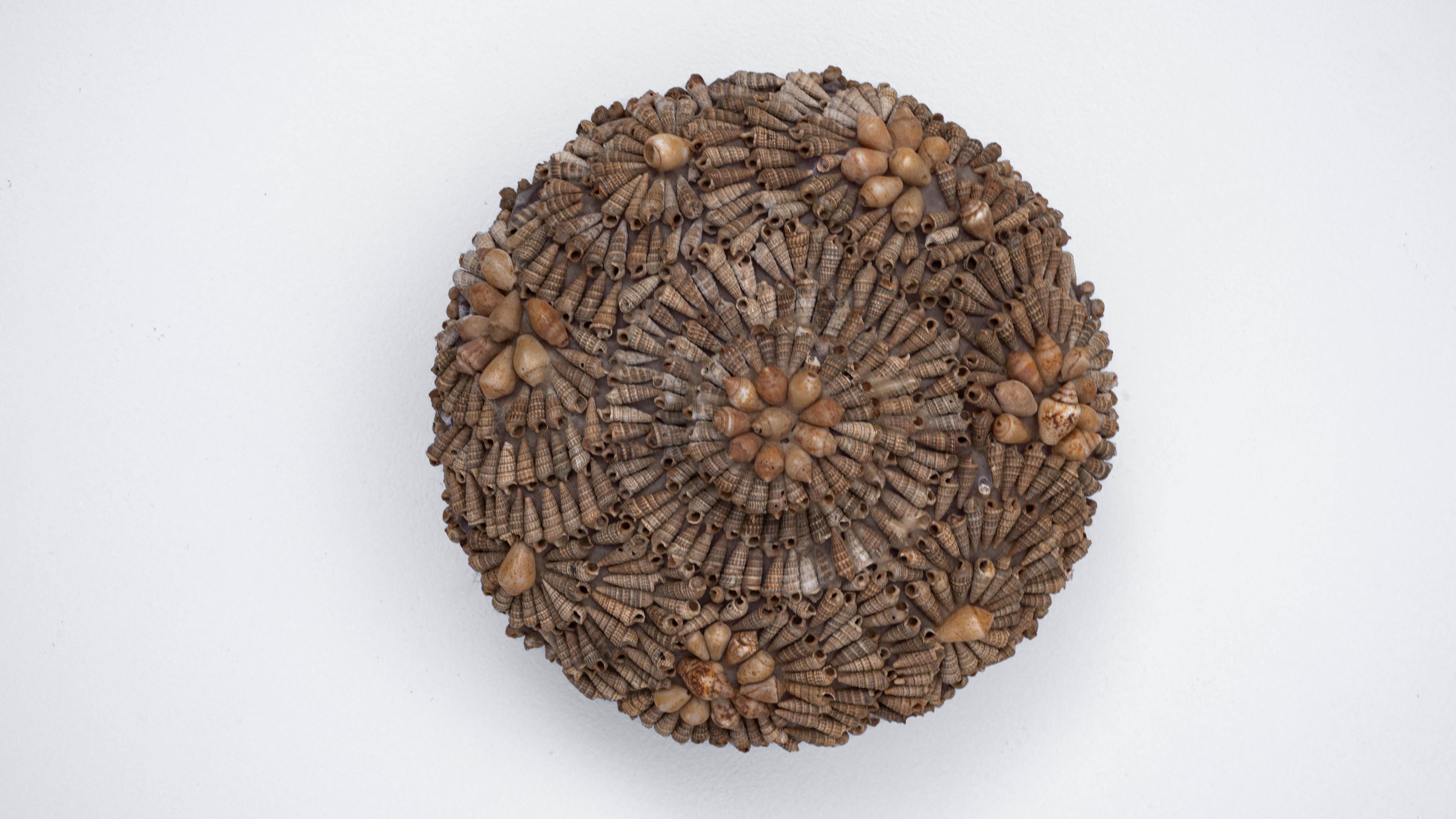 20th Century French Seashell Encrusted Pot For Sale 7