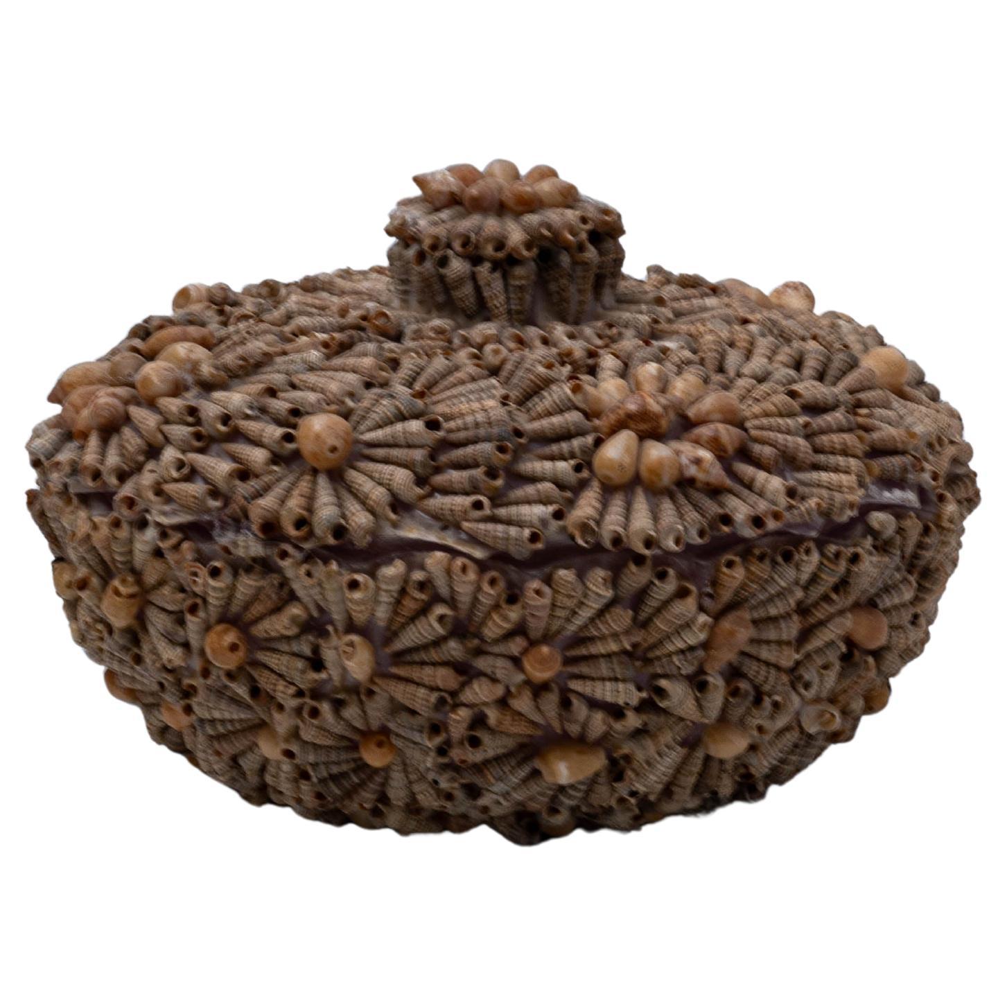 20th Century French Seashell Encrusted Pot For Sale