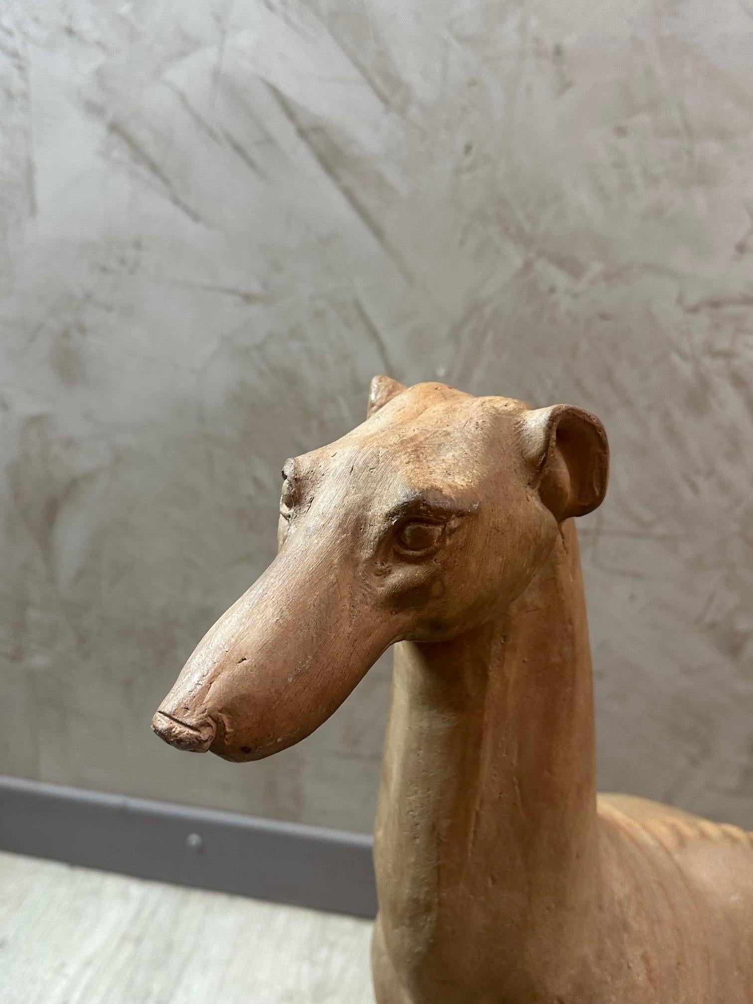 20th century French Terracotta GreyHound Statue, 1930s 5