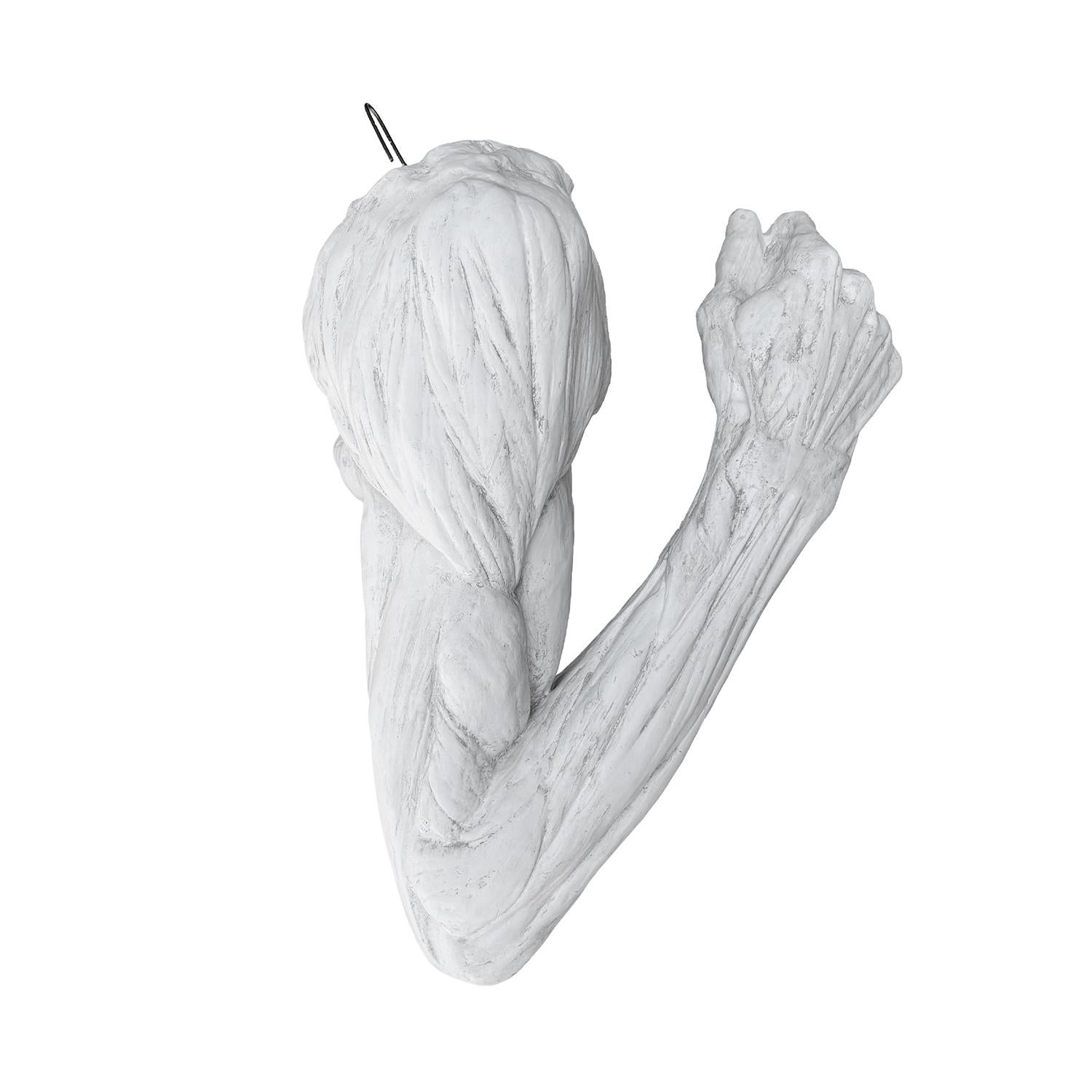 Modello in gesso francese d'epoca di un braccio anatomico spogliato secondo gli studi di Jean-Antoine Houdon, in buone condizioni. Terminato a mano nel XVIII secolo, divenne famoso per aver studiato l'anatomia umana con i chirurghi. An. ha poi