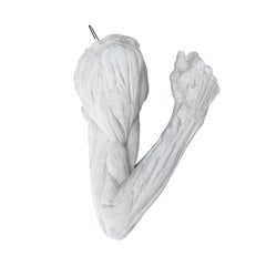 20th Century French Vintage Anatomical Plaster Arm After Jean-Antoine Houdon