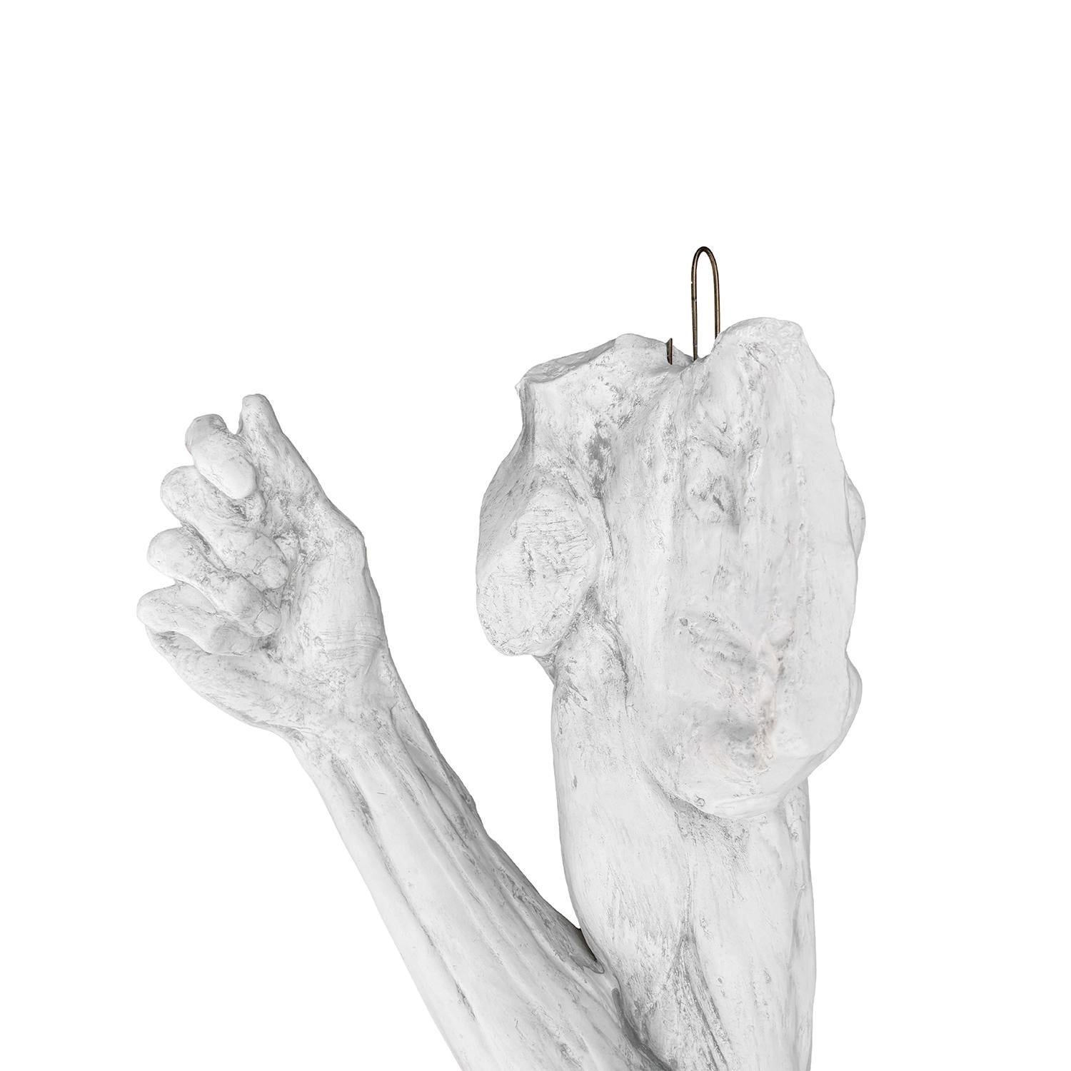 Braccio anatomico in gesso vintage francese del XX secolo di Jean-Antoine Houdon In condizioni buone in vendita a West Palm Beach, FL