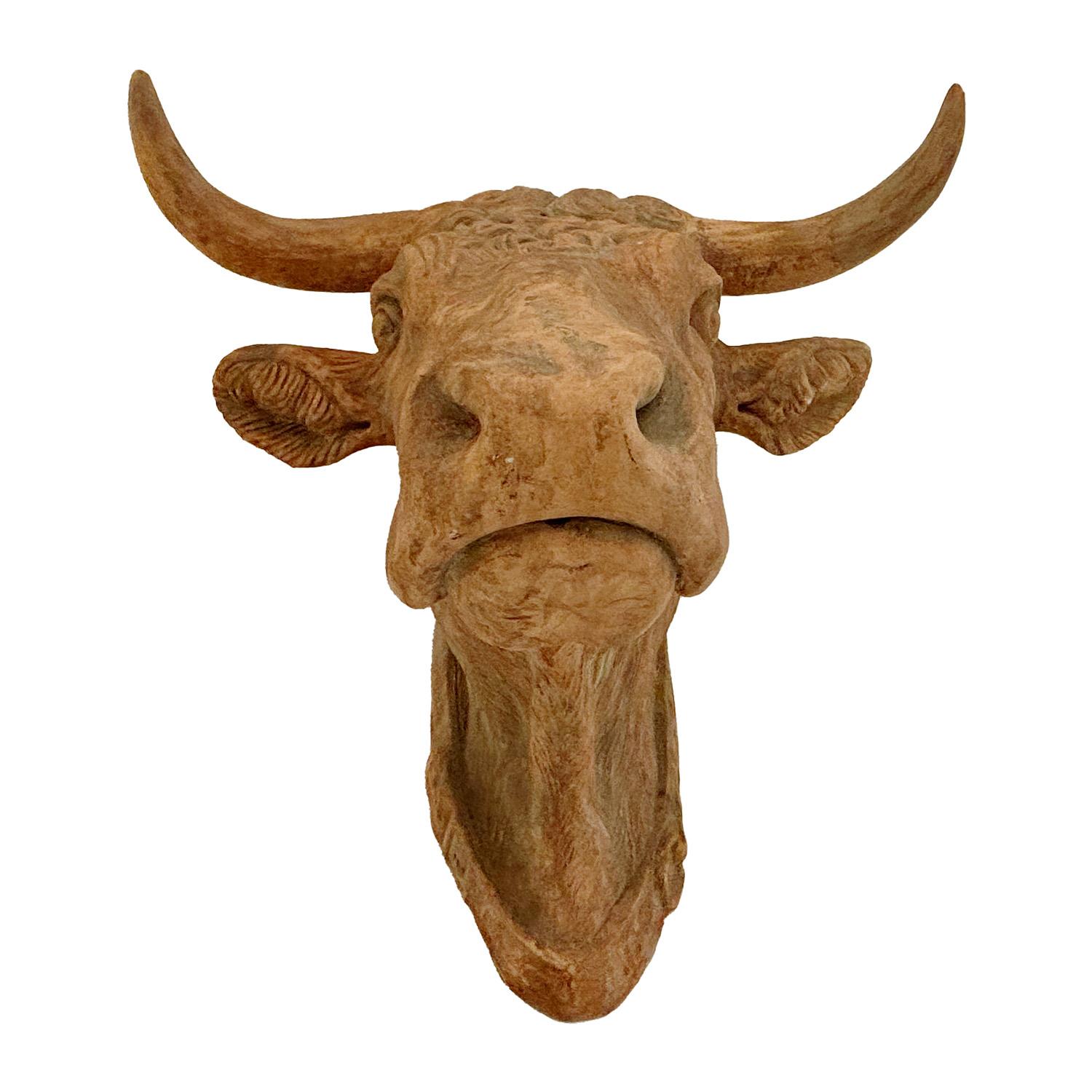 Cabeza de toro de terracota de época francesa del siglo XX Francés en venta