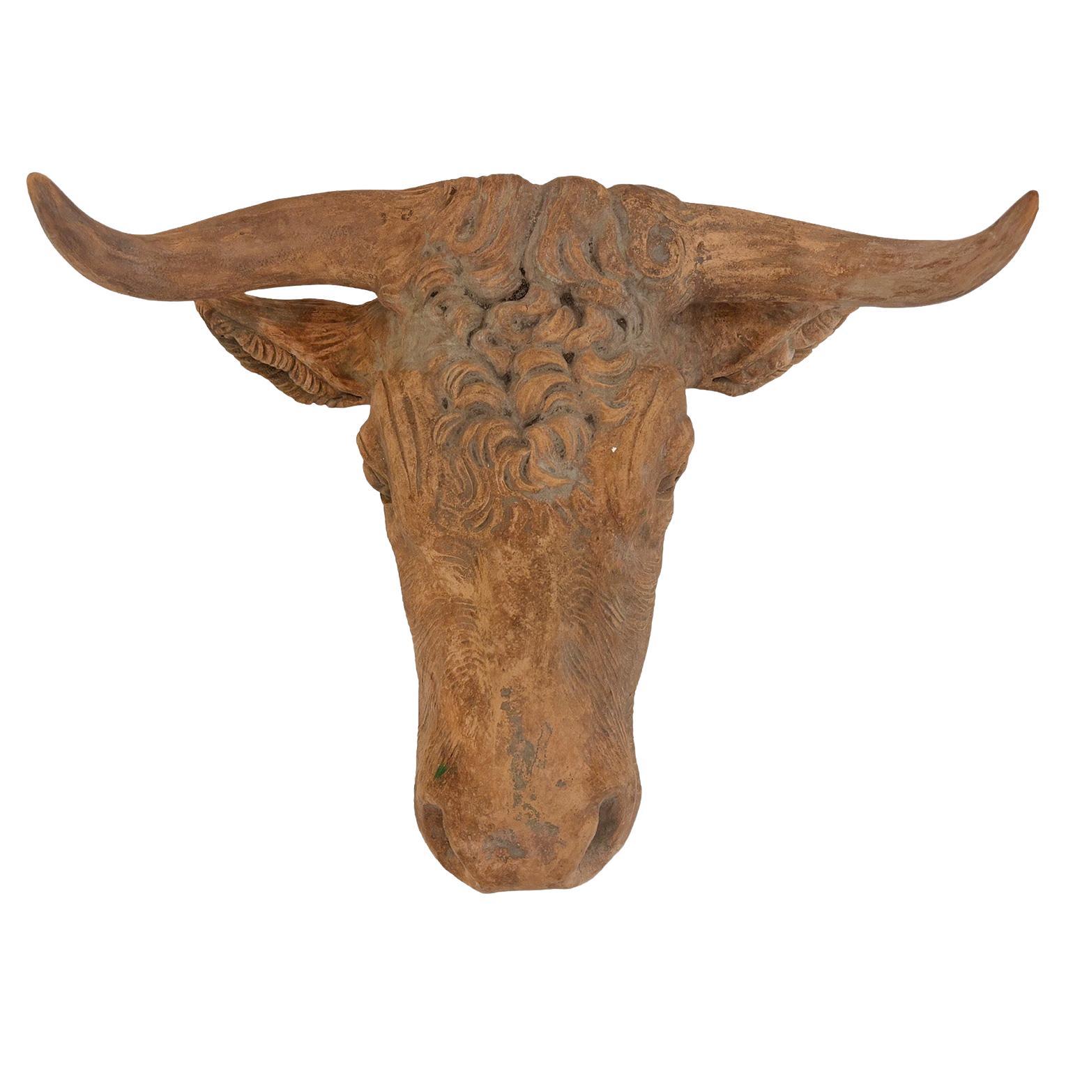20th Century French Vintage Wall Mount Terra Bull Head