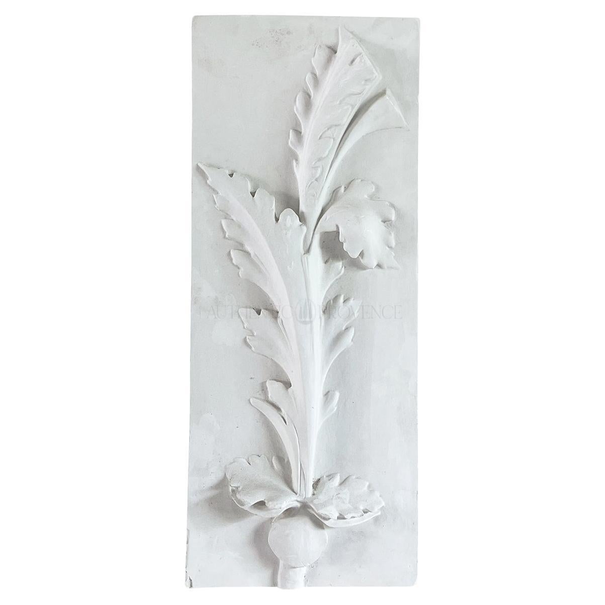 Rilievo in gesso da parete vintage francese del XX secolo raffigurante uno studio botanico