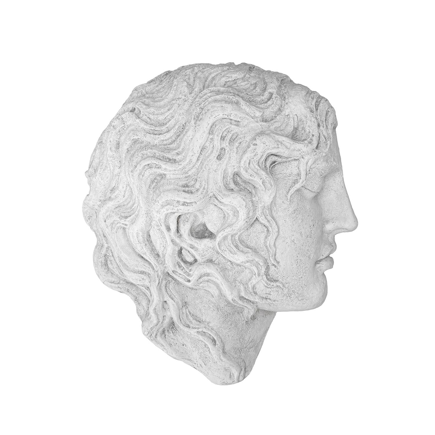 A vintage wall mounted profile or relief of Alexander the Great molded in hand crafted French Plaster, in good condition. Not recommended for exterior use. Minor fading, due to age. Wear consistent with age and use. Circa 1970 - 1980,