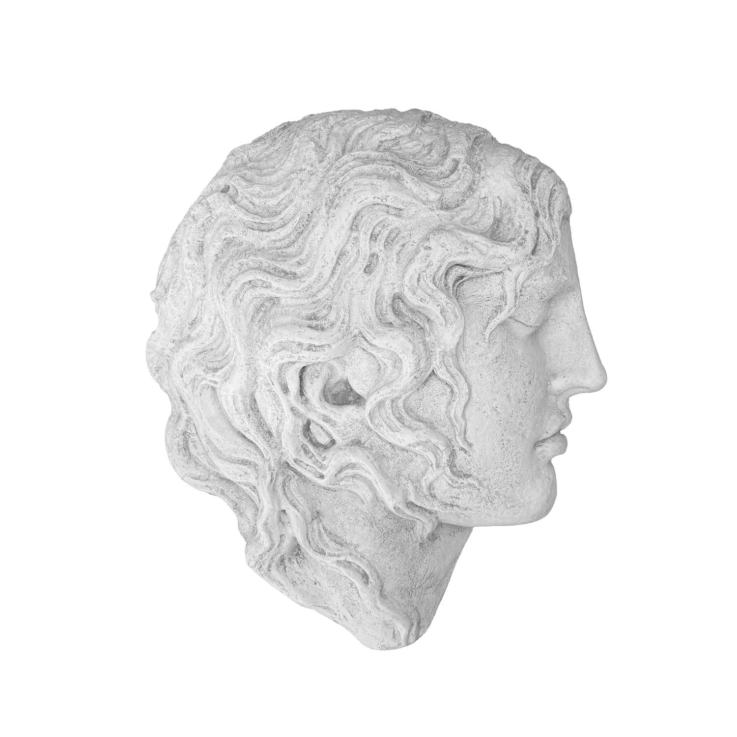 20th Century French Vintage Wall Plaster Relief of Alexander the Great (Französisch) im Angebot