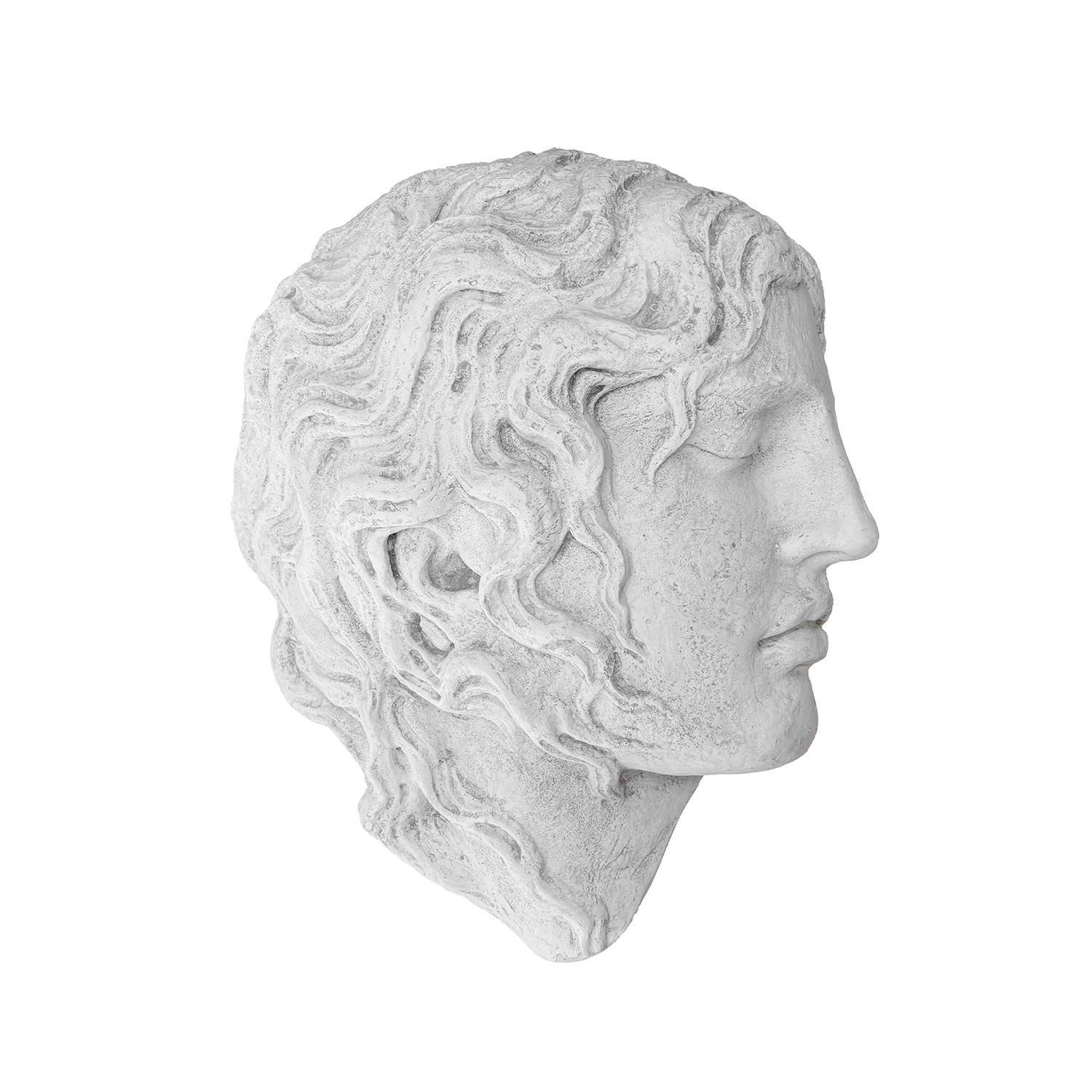 20th Century French Vintage Wall Plaster Relief of Alexander the Great (Handgefertigt) im Angebot
