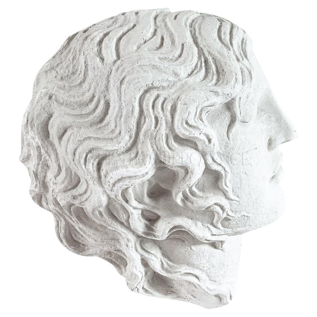 20th Century French Vintage Wall Plaster Relief of Alexander the Great