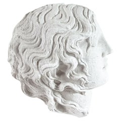 Wall-mounted Sculptures