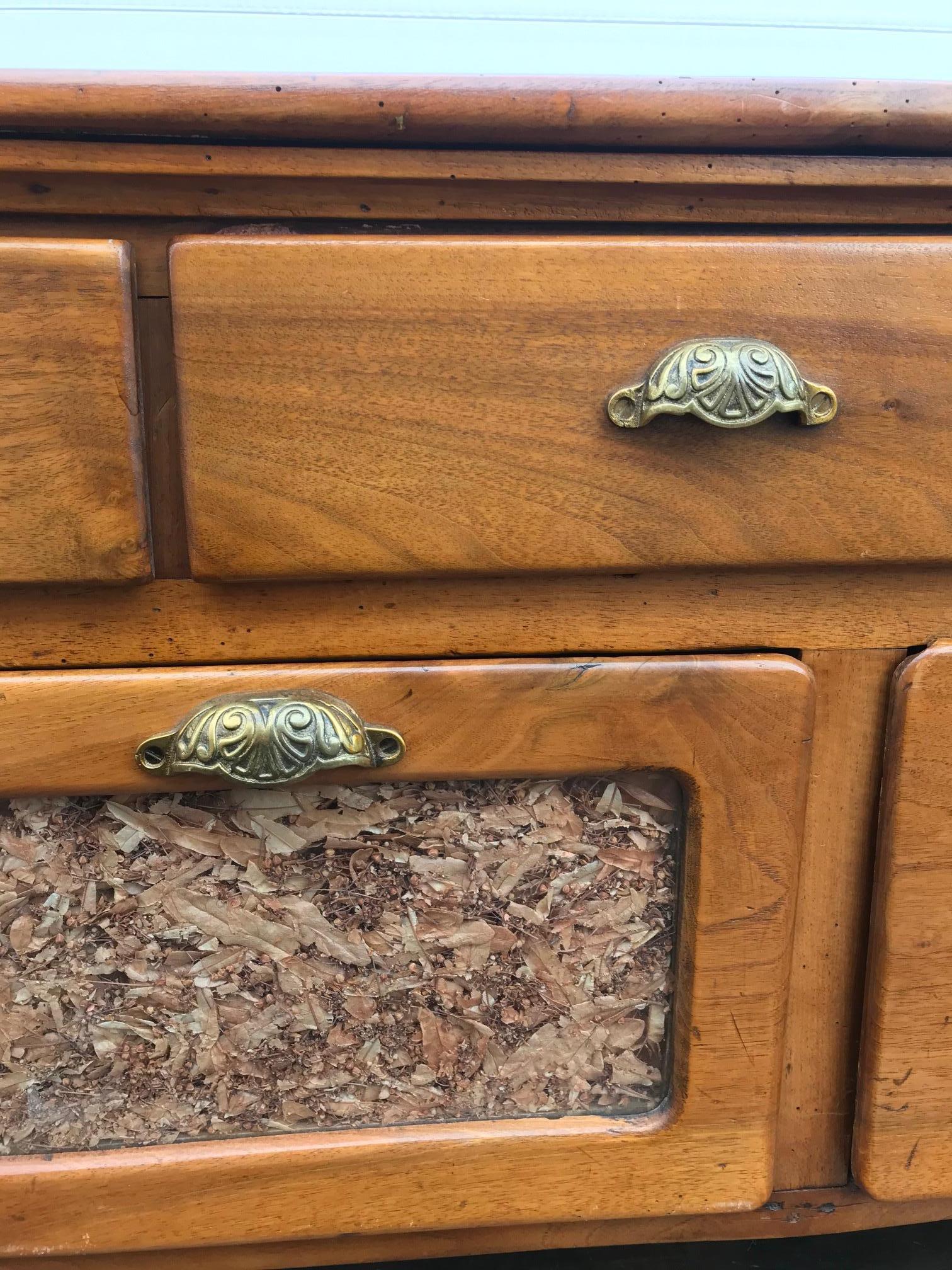 20th Century French Walnut Apothecary Cabinet or Chests of Drawer, 1900s 7