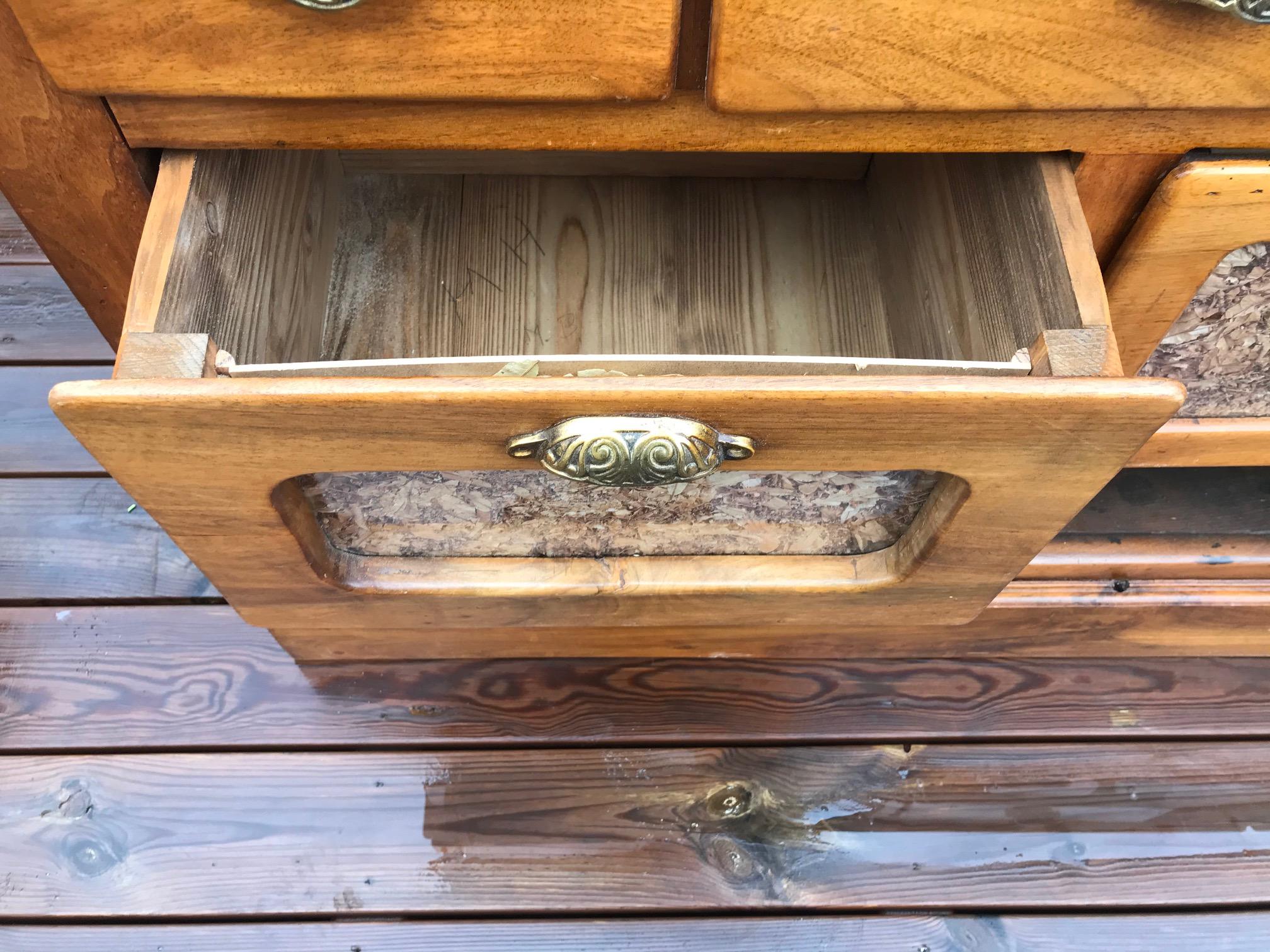 20th Century French Walnut Apothecary Cabinet or Chests of Drawer, 1900s 2