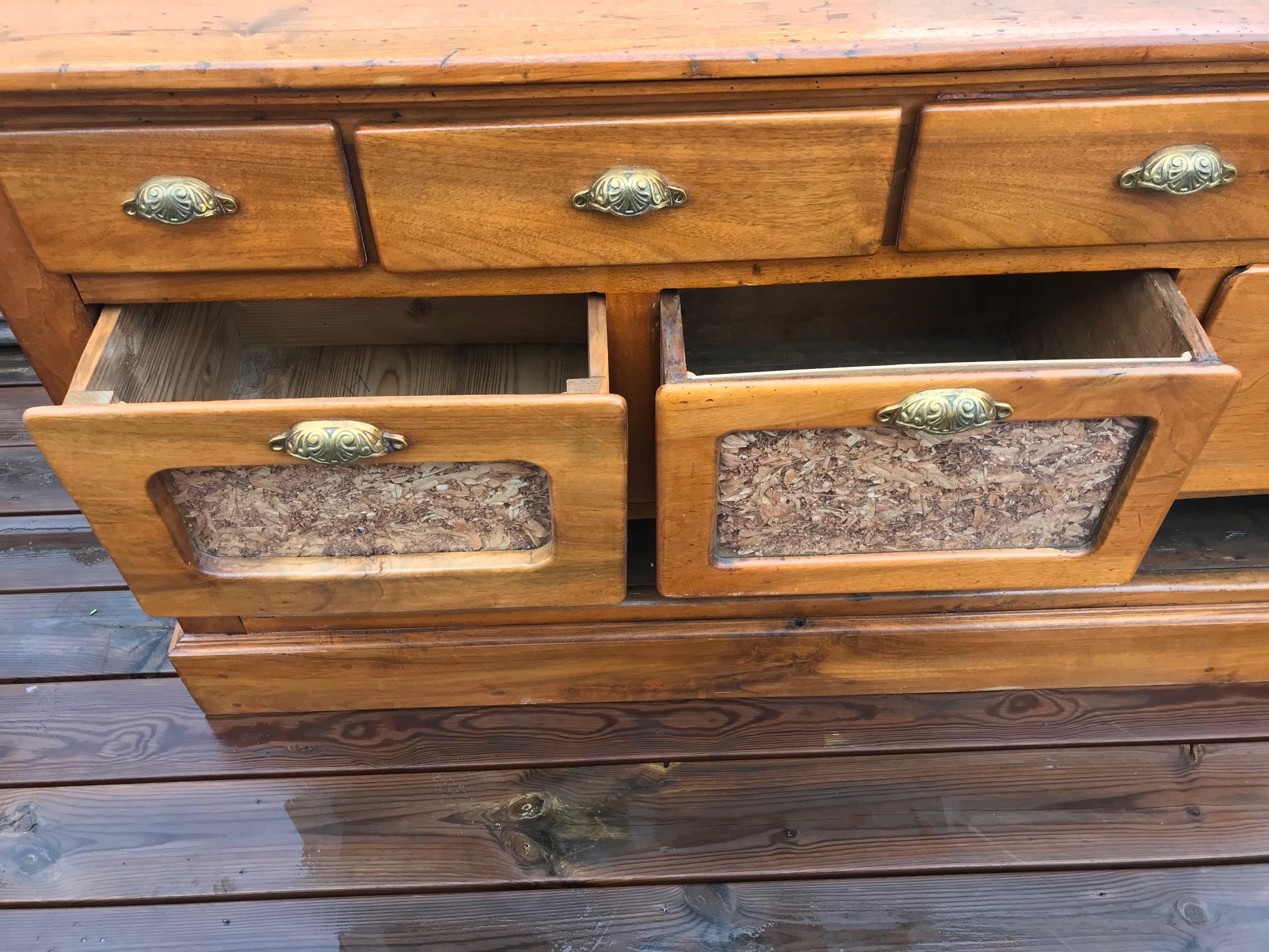 20th Century French Walnut Apothecary Cabinet or Chests of Drawer, 1900s 3