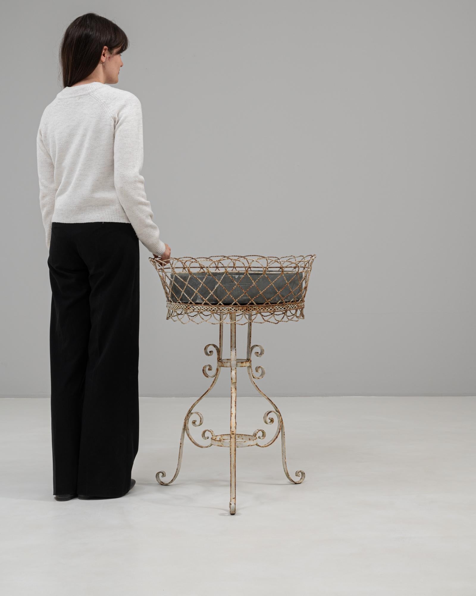 Portafiori francese del XX secolo in metallo dipinto di bianco, con graziose volute e un'affascinante patina naturale. Realizzato in ferro battuto, il pezzo presenta una base a treppiede elegantemente curvata e un cestino in filo metallico aperto