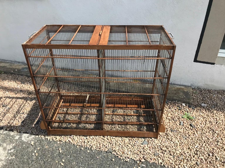 Cage à oiseaux française en bois et métal du 20ème siècle, années 1950 sur  1stDibs | cage oiseaux occasion particulier