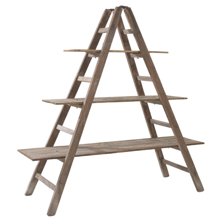 20th Century French Wooden Shelves For Sale at 1stDibs