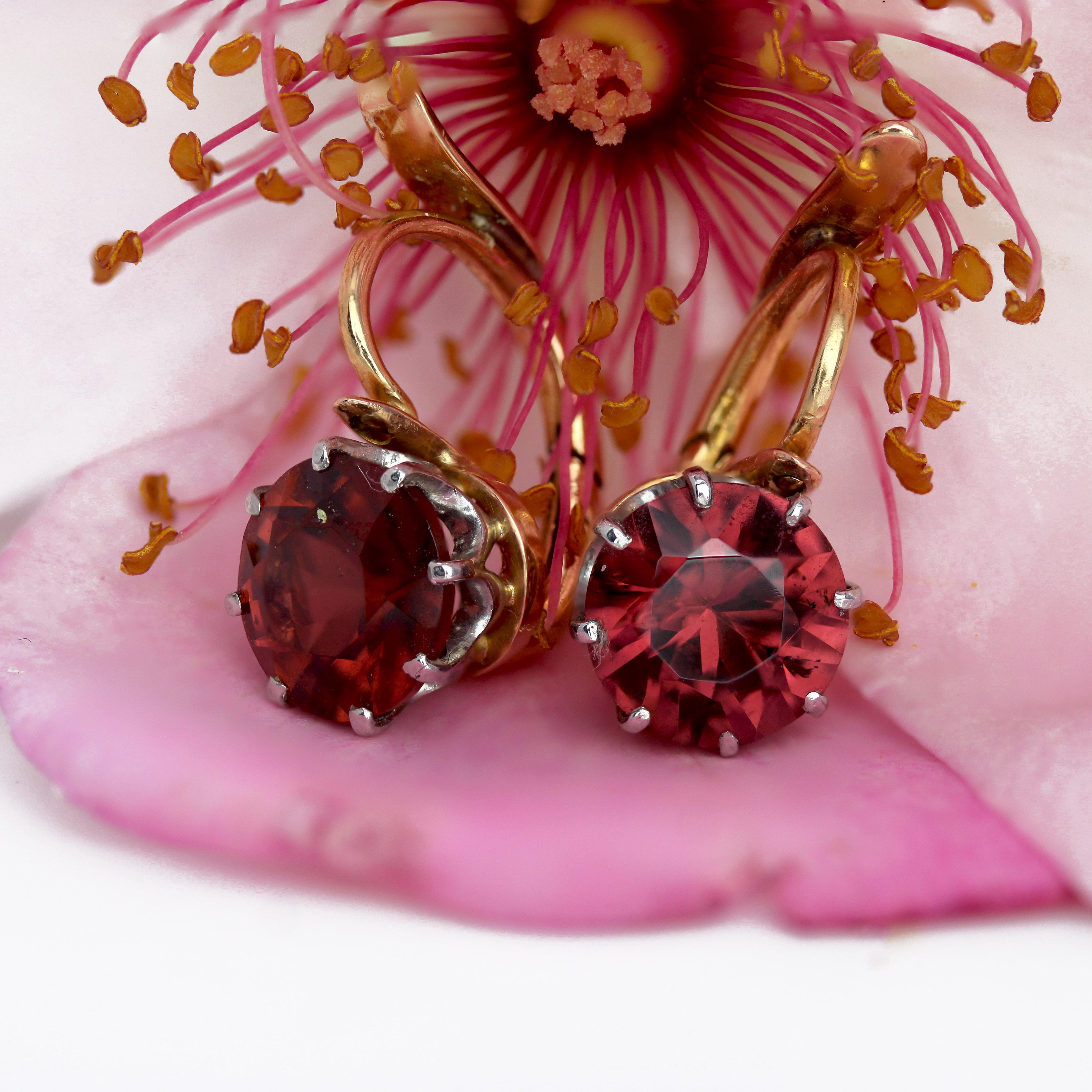20th Century Garnet 18 Karat Rose Platinum Gold Lever- Back Earrings For Sale 4