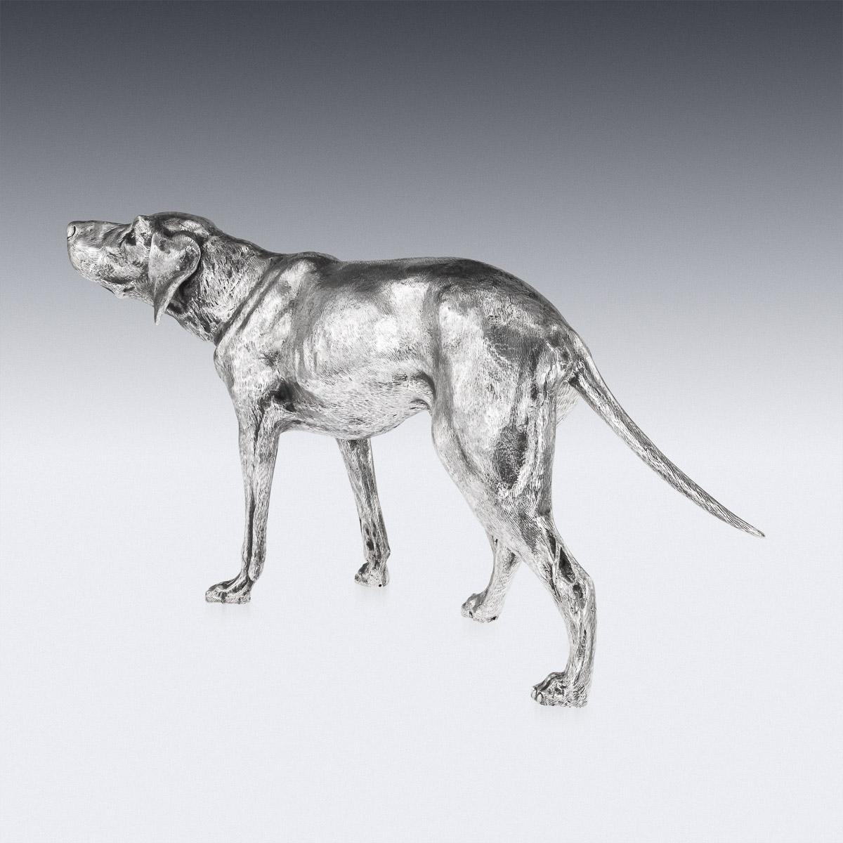 20th Century German Solid Silver Statues Of A Shorthaired Pointer c.1910 In Good Condition In Royal Tunbridge Wells, Kent