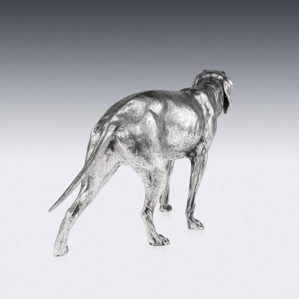 20th Century German Solid Silver Statues Of A Shorthaired Pointer c.1910 1
