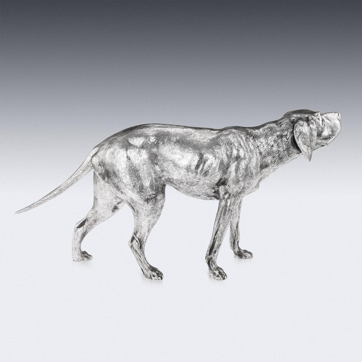 20th Century German Solid Silver Statues Of A Shorthaired Pointer c.1910 2