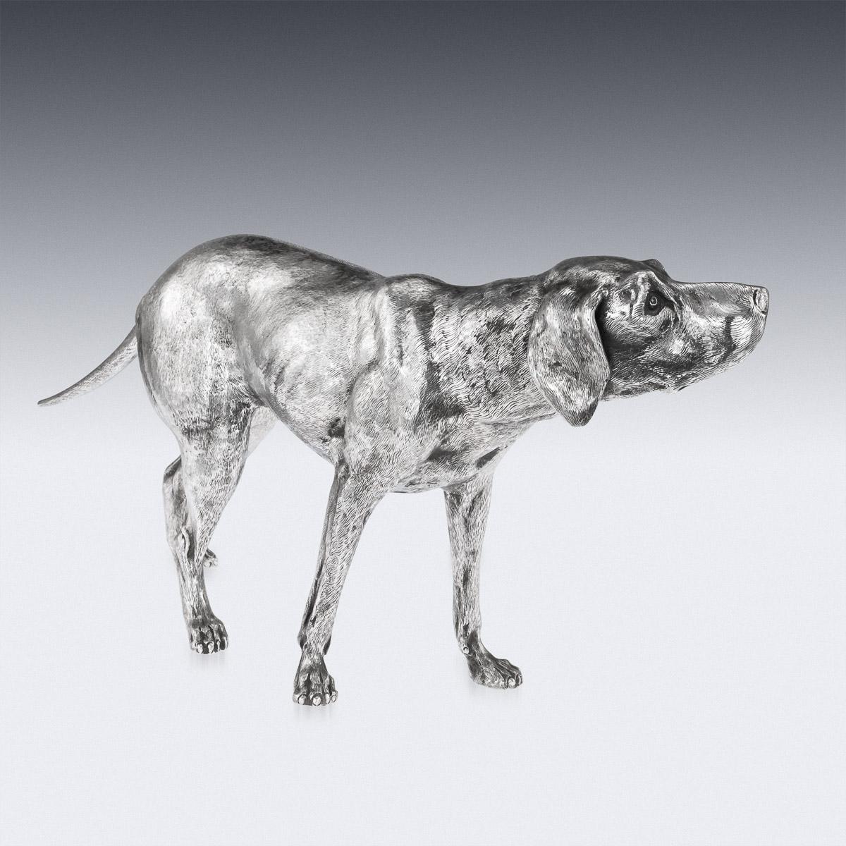 20th Century German Solid Silver Statues Of A Shorthaired Pointer c.1910 3