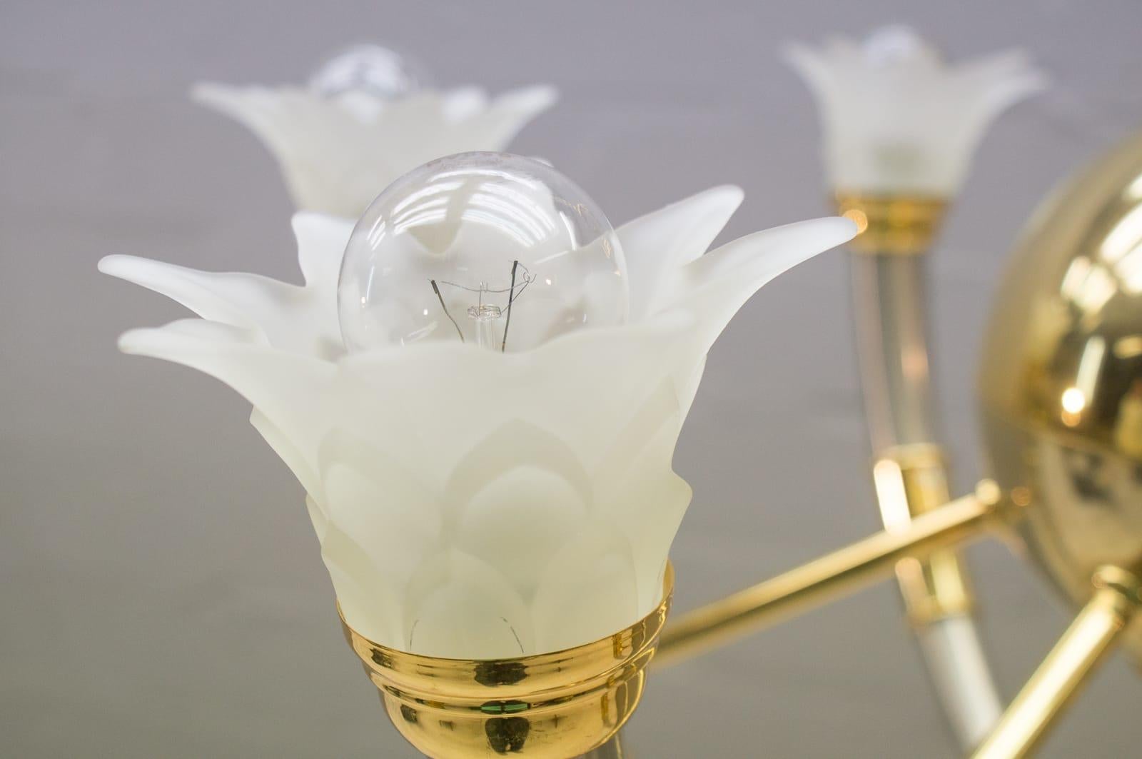 20th Century Gilded Brass and Glass Flowers Chandelier, 1970s For Sale 9