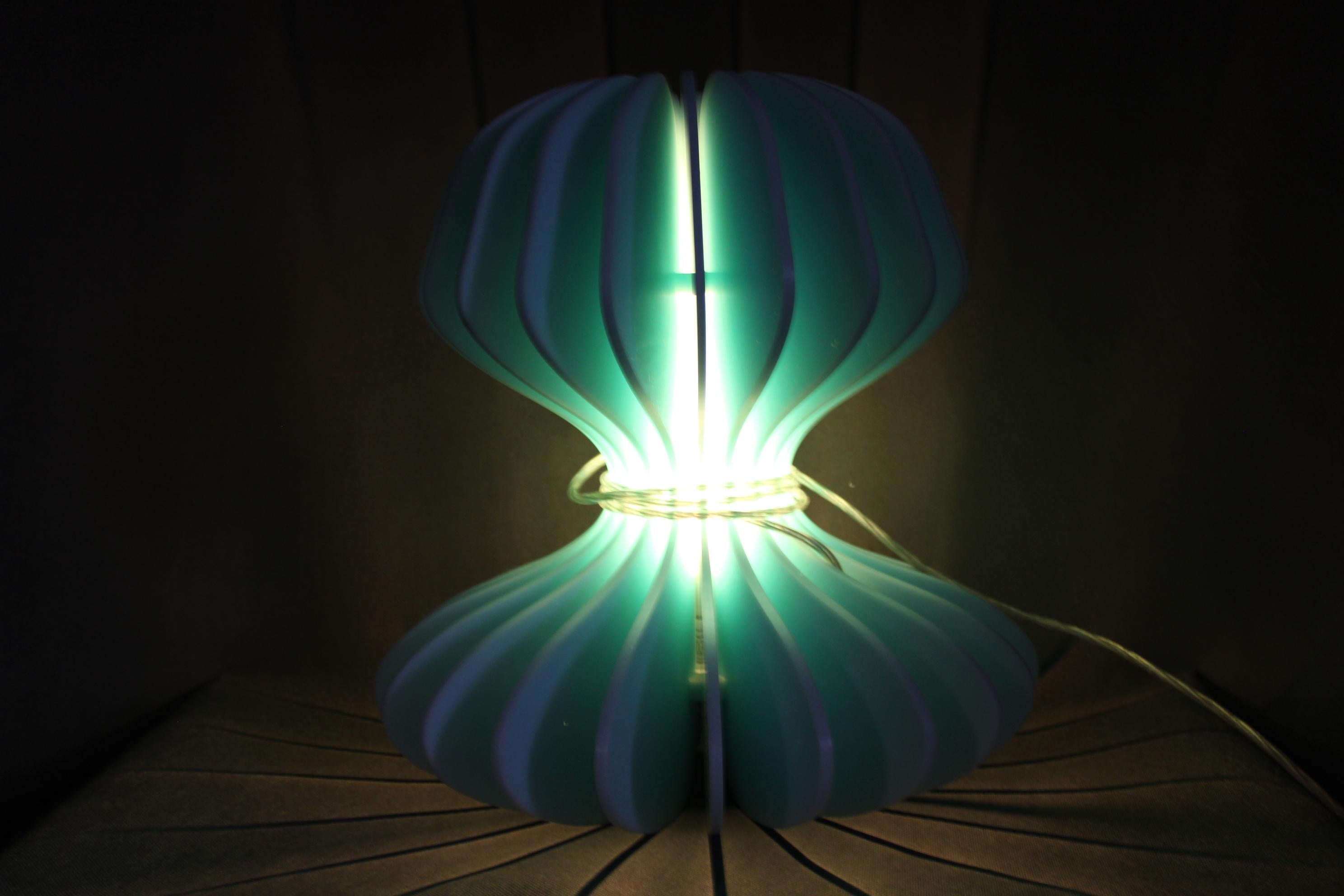 Mid-Century Modern 20th Century Giulia Lamp by Jaroslav Větvička, Czechoslovakia For Sale