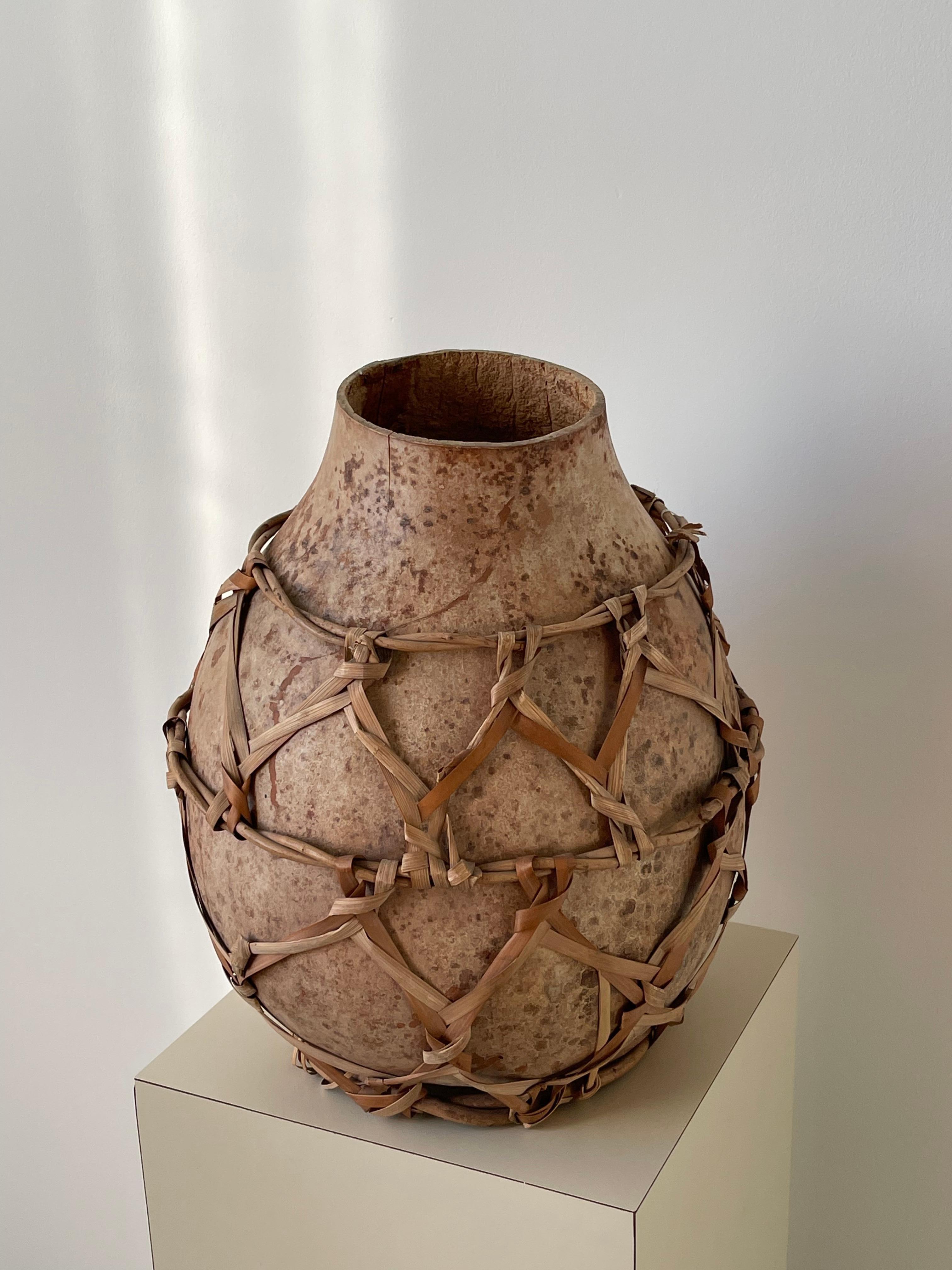 Unknown 20th Century Gourd Vessel with Reed Weaving For Sale