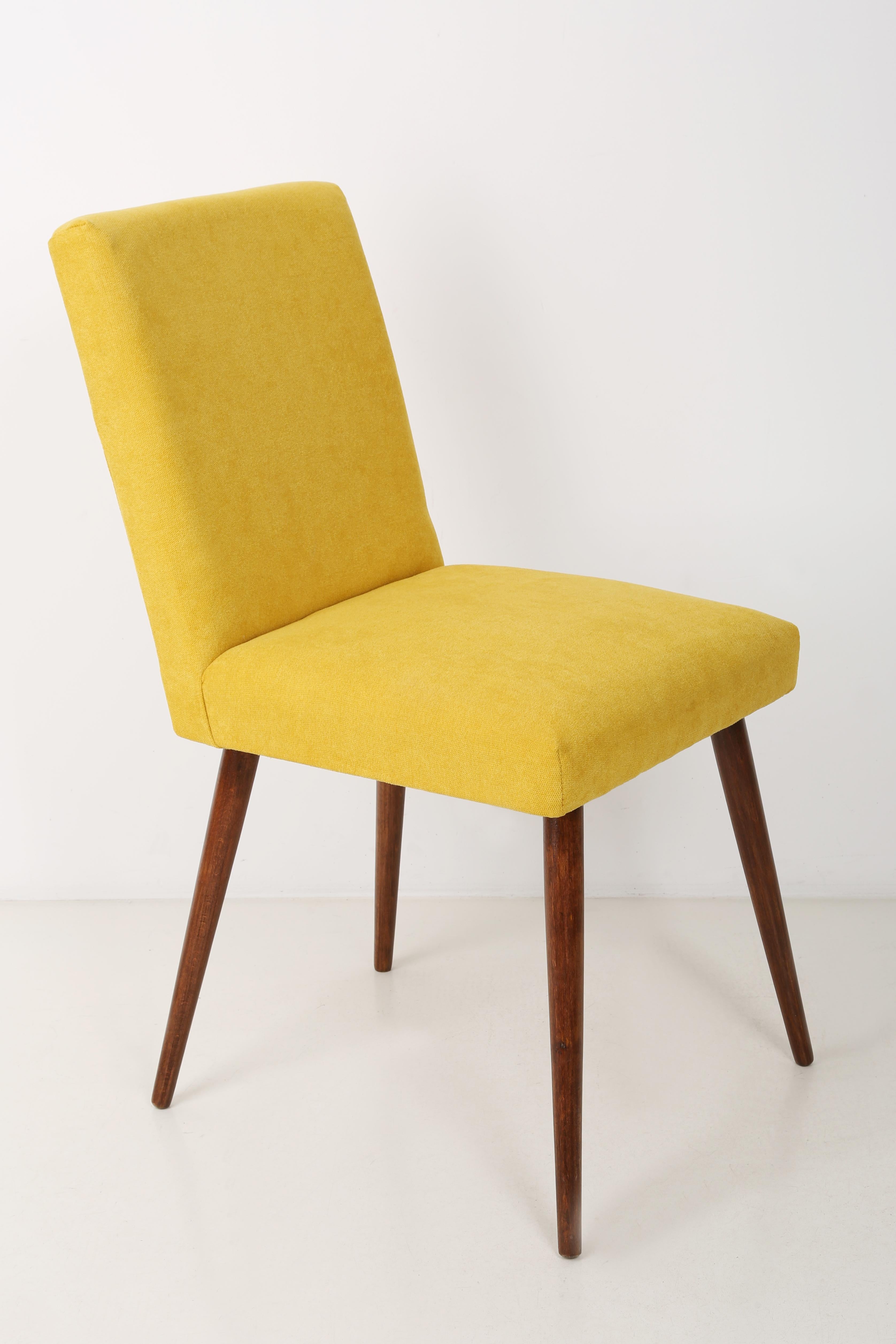 Mid-Century Modern Mid Century Gray Wool Chair, Poland, 1960s. For Sale