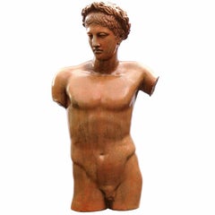 20th Century Greek-Roman Terracotta Torso of Apollo