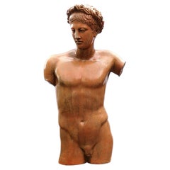20th Century Greek-Roman Terracotta Torso of Apollo