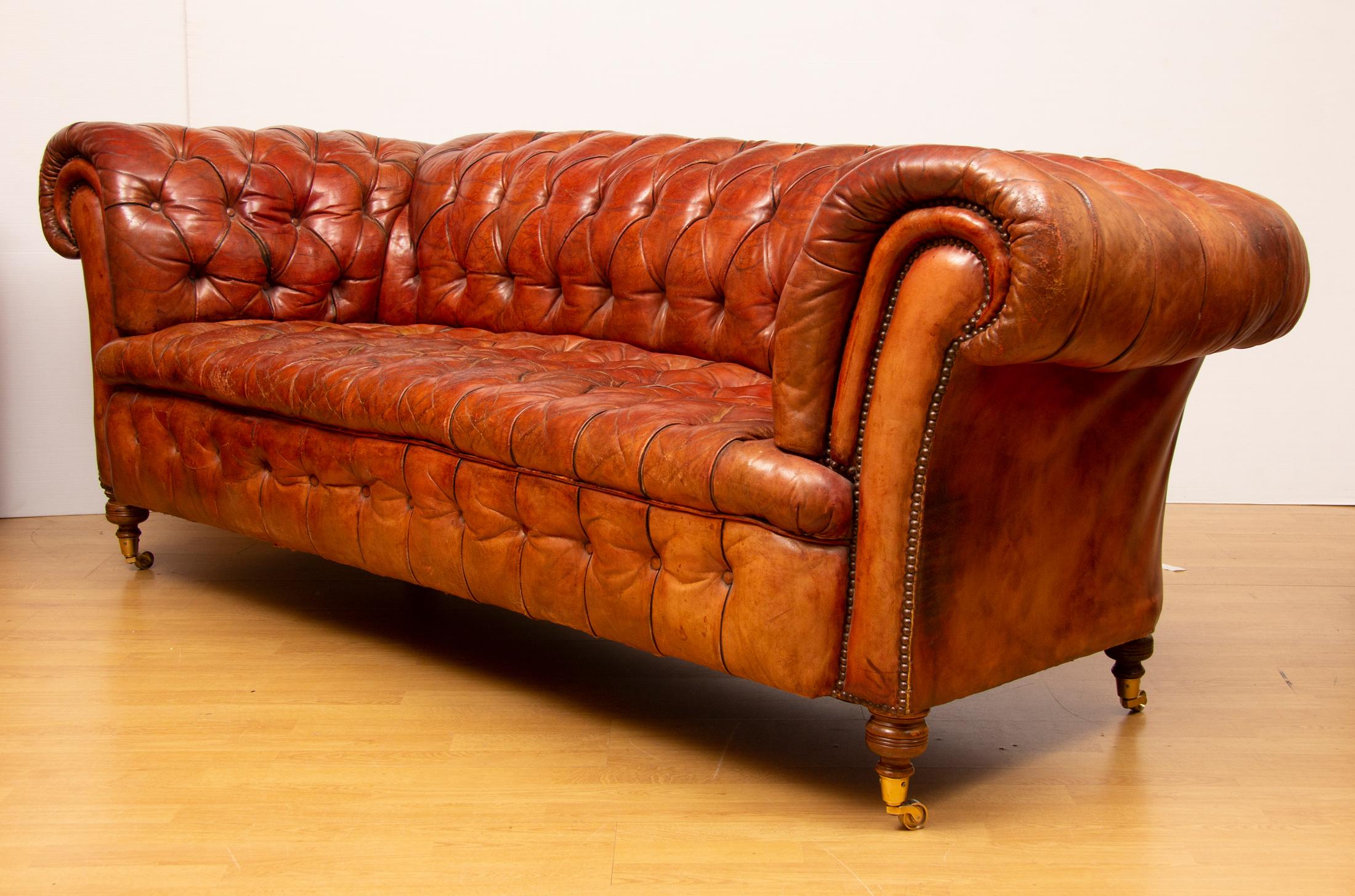 20th century brown leather Chesterfield sofa with buttoned seat on turned legs terminating in brass castors. Sprung interior. Wonderful patina.