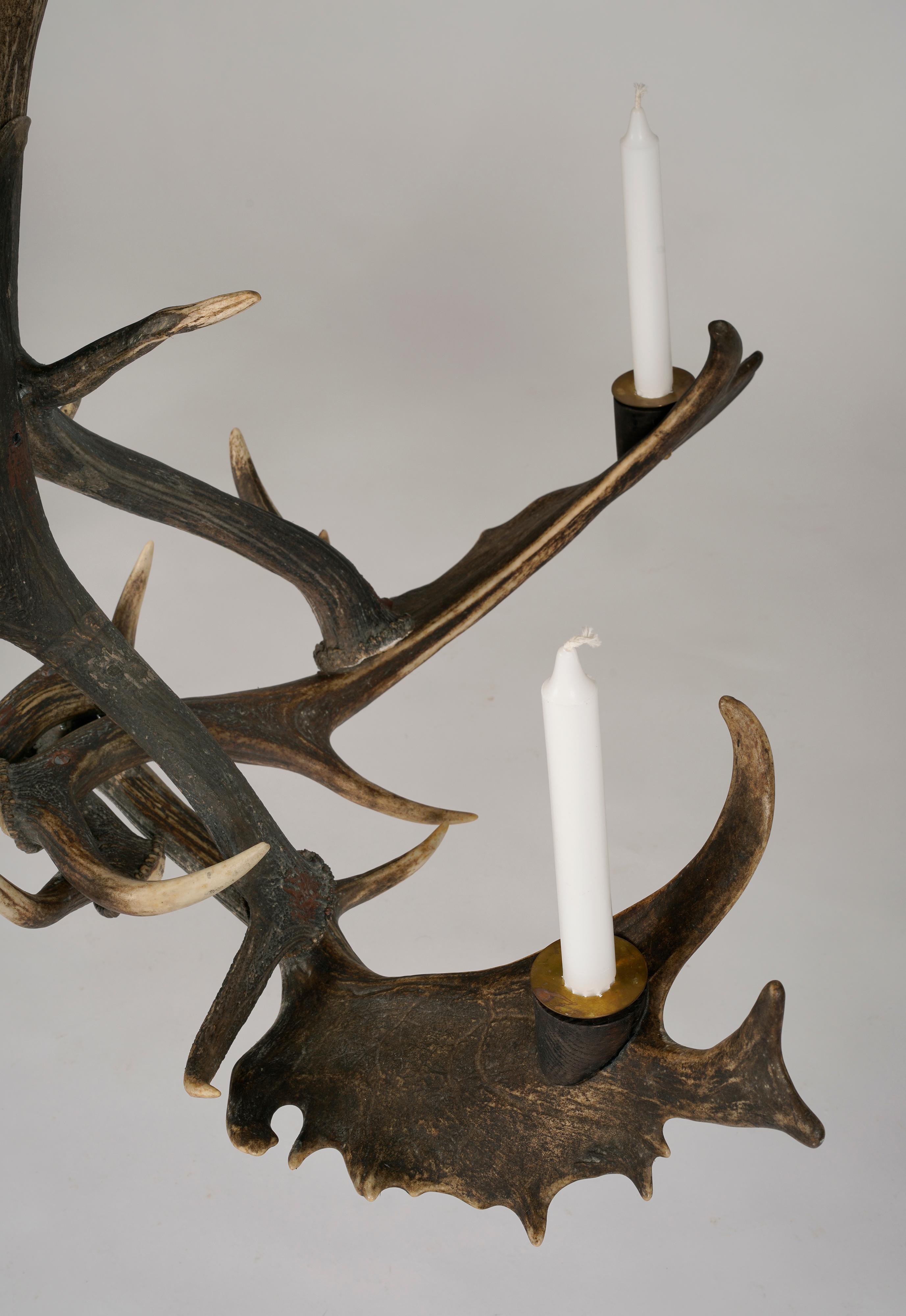 20th Century Hunter´s Chandelier, Sweden For Sale 1