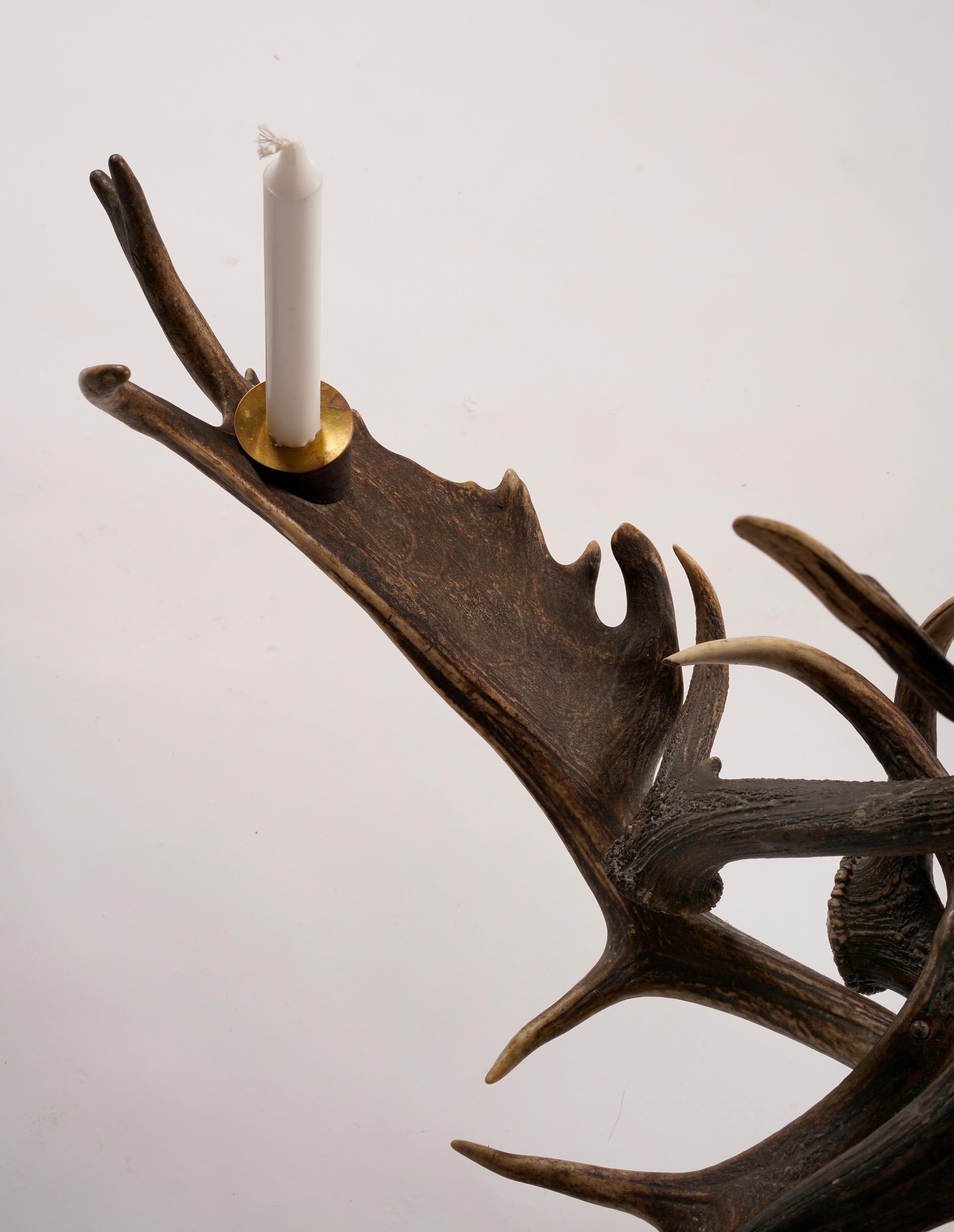 20th Century Hunter´s Chandelier, Sweden For Sale 2