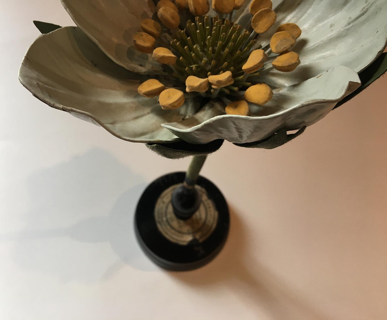 20th Century Italian Botanical Model, circa 1920 3