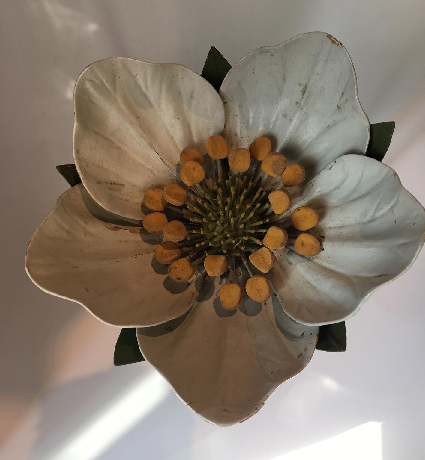 Other 20th Century Italian Botanical Model, circa 1920