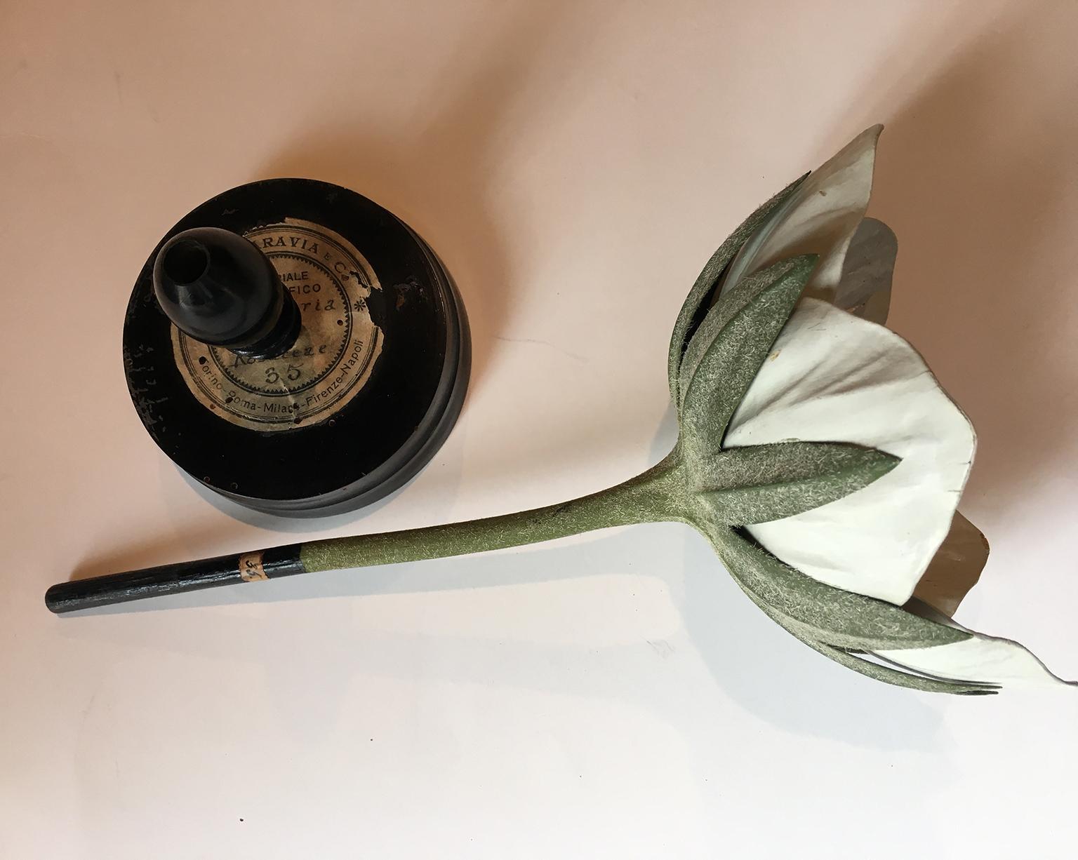 20th Century Italian Botanical Model, circa 1920 In Good Condition In Milano, IT