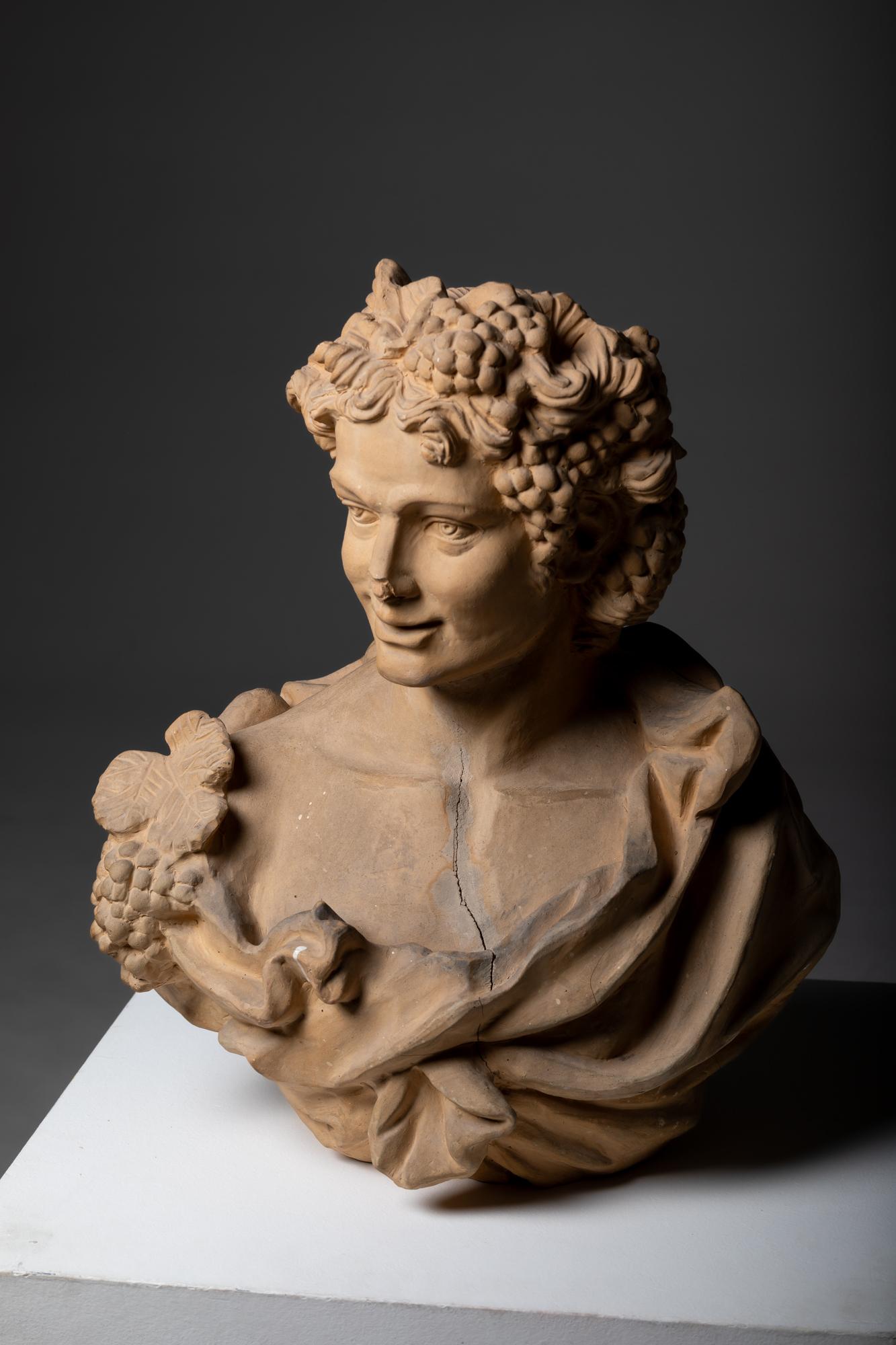 20th Century Italian Bust of Bacchus, God of Wine, in Terracotta 1