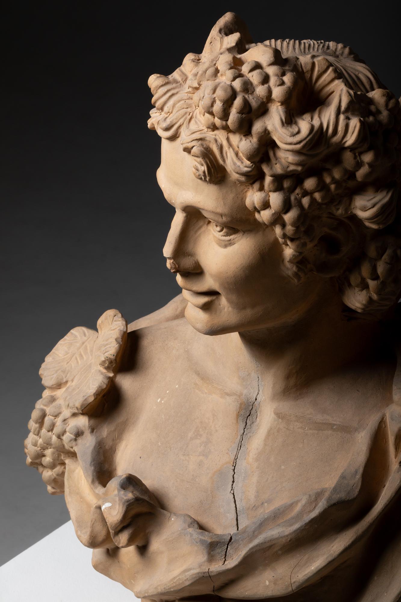 20th Century Italian Bust of Bacchus, God of Wine, in Terracotta 2