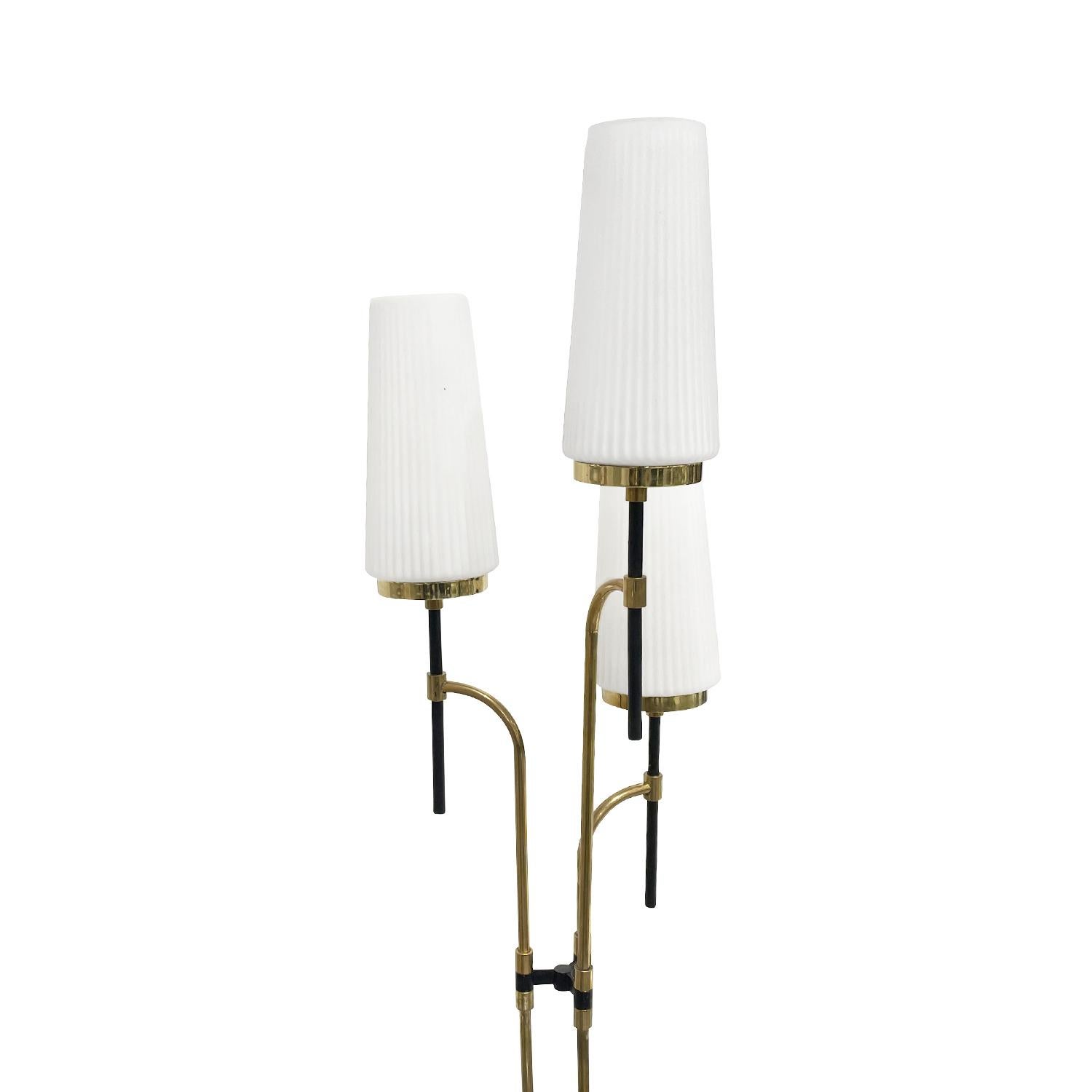 Polished 20th Century Italian Frosted Opaline Glass Floor Lamp Attributed to Stilnovo For Sale