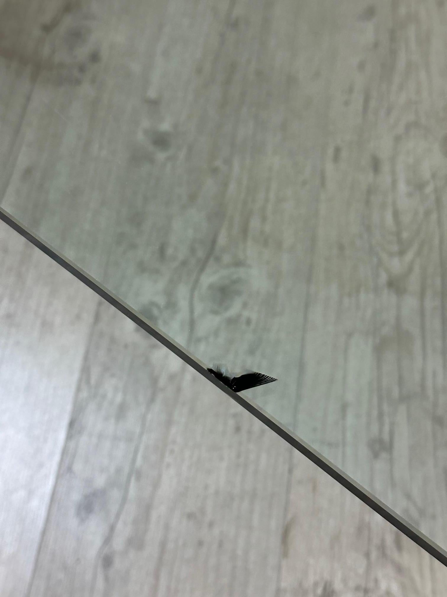 Table basse en verre italienne du 20e siècle par Reflex, 1980 en vente 3